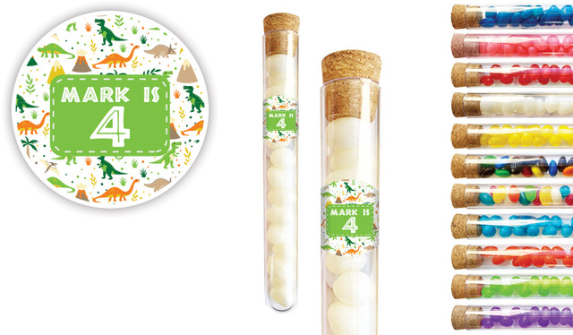 Dinosaur Background Kids Party Personalised Test Tubes