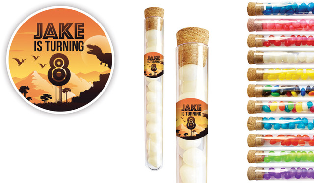 Prehistoric Dinosaur Kids Party Personalised Test Tubes