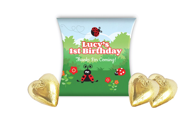 Lady Bug Kids Party Personalised Pillow Boxes