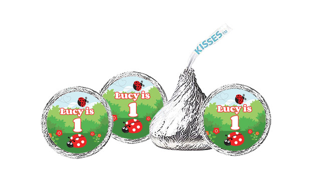 Lady Bug Birthday Personalised Hershey's Kisses