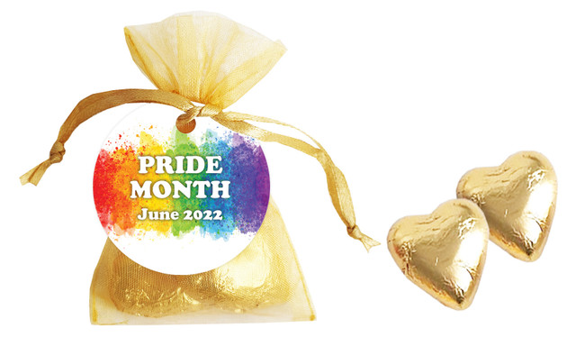 Painted Rainbow Pride Personalised Organza Bag