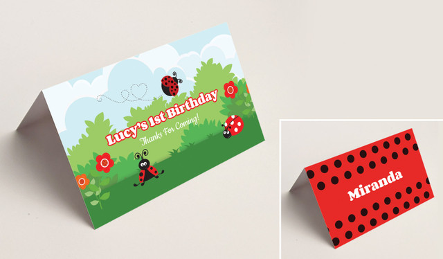 Lady Bug Kids Party Place Cards With Guest Names