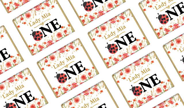Lady Bug Personalised 1st Birthday Mini Chocolates