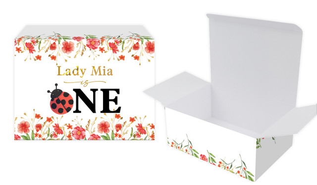 Lady Bug 1st Birthday Personalised Tuck Box