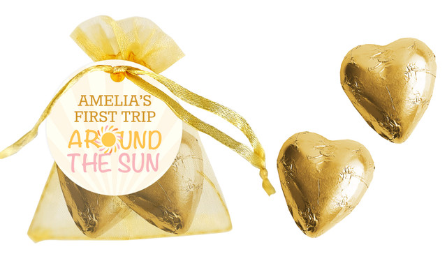 First Trip Around The Sun 1st Birthday Organza Bag