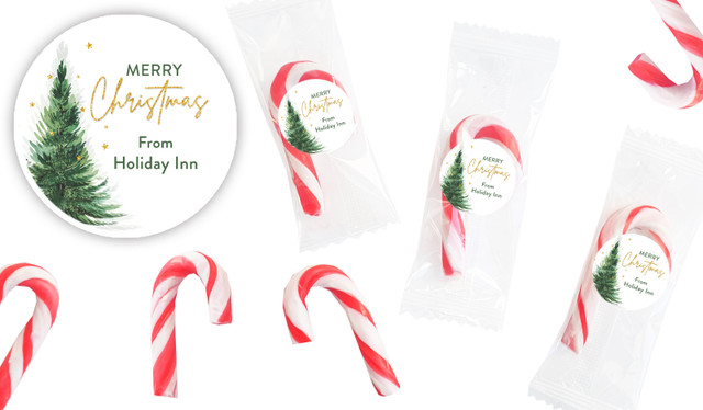 Simple Spruce Personalised Mini Candy Canes