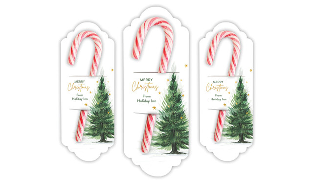 Simple Spruce Christmas Personalised Candy Cane Card