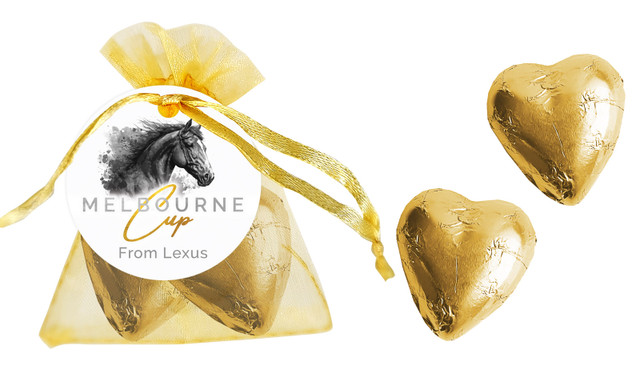 Dark Horse Melbourne Cup Horse Racing Organza Bag