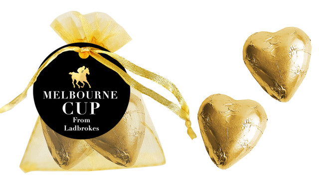 Gold Trip Melbourne Cup Horse Racing Organza Bag