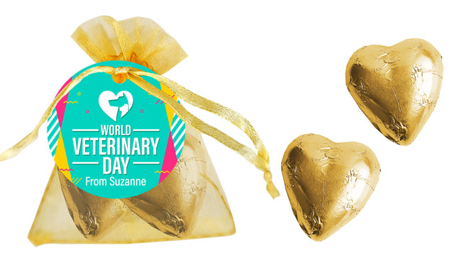 World Veterinary Day Organza Bag