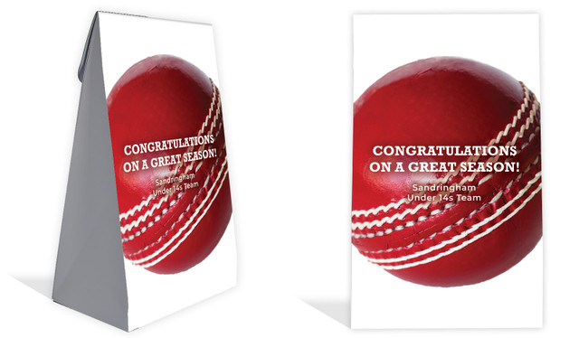 Cricket Ball Personalised Gusset Favour Bag