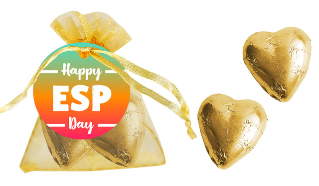 Education Support Personnel Day Organza Bag