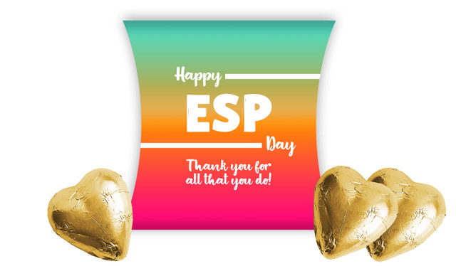 Education Support Personnel Day Pillow Boxes