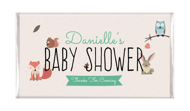 Little Critters Baby Shower Chocolates