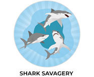 Shark Theme Personalised Birthday Party Supplies