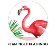 Flamingo Theme Custom Birthday Party Supplies