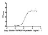 Recombinant Human B- and T-lymphocyte attenuator (BTLA) ,partial (Active) Activity