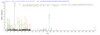 Based on the SEQUEST from database of E.coli host and target protein, the LC-MS/MS Analysis result of CSB-EP006193MO could indicate that this peptide derived from E.coli-expressed Mus musculus (Mouse) Ctsl.