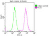 Overlay histogram showing A549 cells stained with CSB-MA018403A0m (red line) at 1:100. The cells were incubated in 1x PBS /10% normal goat serum to block non-specific protein-protein interactions followed by primary antibody for 1 h at 4°C. The secondary antibody used was FITC goat anti-mouse IgG (H+L) at 1/200 dilution for 1 h at 4°C. Isotype control antibody (green line) was used under the same conditions. Acquisition of >10, 000 events was performed.