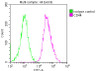 Overlay histogram showing Hela cells stained with CSB-MA004938A0m (red line) at 1:200. The cells were incubated in 1x PBS /10% normal goat serum to block non-specific protein-protein interactions followed by primary antibody for 1 h at 4°C. The secondary antibody used was FITC goat anti-mouse IgG (H+L) at 1/200 dilution for 1 h at 4°C. Isotype control antibody (green line) was used under the same conditions. Acquisition of >10, 000 events was performed.