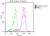 Overlay histogram showing 293 cells stained with CSB-MA878942A0m (red line) at 1:150. The cells were incubated in 1x PBS /10% normal goat serum to block non-specific protein-protein interactions followed by primary antibody for 1 h at 4°C. The secondary antibody used was FITC goat anti-mouse IgG (H+L) at 1/200 dilution for 1 h at 4°C. Isotype control antibody (green line) was used under the same conditions. Acquisition of >10, 000 events was performed.