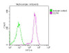 Overlay histogram showing Jurkat cells stained with CSB-MA004879A0m (red line) at 1:180. The cells were incubated in 1x PBS /10% normal goat serum to block non-specific protein-protein interactions followed by primary antibody for 1 h at 4°C. The secondary antibody used was FITC goat anti-mouse IgG (H+L) at 1/200 dilution for 1 h at 4°C. Isotype control antibody (green line) was used under the same conditions. Acquisition of >10, 000 events was performed.