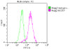 Overlay histogram showing HepG2 cells stained with CSB-MA018072A0m (red line) at 1:100. The cells were incubated in 1x PBS /10% normal goat serum to block non-specific protein-protein interactions followed by primary antibody for 1 h at 4°C. The secondary antibody used was FITC goat anti-mouse IgG (H+L) at 1/200 dilution for 1 h at 4°C. Isotype control antibody (green line) was used under the same conditions. Acquisition of >10, 000 events was performed.