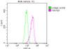 Overlay histogram showing A549 cells stained with CSB-MA026293A0m (red line) at 1:100. The cells were fixed in 4% formaldehyde and permeated by 0.2% TritonX-100. Then 10% normal goat serum was Incubated to block non-specific protein-protein interactions followed by the antibody (1µg/1*106cells) for 1 h at 4°C. The secondary antibody used was FITC-conjugated Goat Anti-Mouse IgG (H+L) at 1/100 dilution for 30min at 4°C. Isotype control antibody (green line) was mouse IgG2b (1µg/1*106cells) used under the same conditions. Acquisition of >10, 000 events was performed.