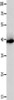 Gel: 10%SDS-PAGE, Lysate: 40 μg, Lane: Human liver cancer tissue, Primary antibody: CSB-PA589025 (CFHR1 Antibody) at dilution 1/300, Secondary antibody: Goat anti rabbit IgG at 1/8000 dilution, Exposure time: 30 seconds Gel: 10%SDS-PAGE, Lysate: 40 μg, Lane: Human liver cancer tissue, Primary antibody: CSB-PA589025 (CFHR1 Antibody) at dilution 1/300, Secondary antibody: Goat anti rabbit IgG at 1/8000 dilution, Exposure time: 30 seconds