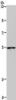 Gel: 6%SDS-PAGE, Lysate: 40 μg, Lane: Mouse lung tissue, Primary antibody: CSB-PA547732 (CYP1A1 Antibody) at dilution 1/220, Secondary antibody: Goat anti rabbit IgG at 1/8000 dilution, Exposure time: 30 seconds