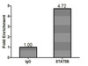 Chromatin Immunoprecipitation MCF-7 (1.1*10<sup>6</sup>) were cross-linked with formaldehyde, sonicated, and immunoprecipitated with 4µg anti-STAT5B or a control normal rabbit IgG. The resulting ChIP DNA was quantified tissue using real-time PCR with primers (CSB-PP022815HU) against the AGT promoter.