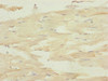 Immunohistochemistry of paraffin-embedded human skeletal muscle tissue using CSB-PA006566ESR2HU at dilution of 1:100