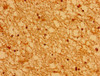 Immunohistochemistry of paraffin-embedded human brain tissue using CSB-PA002199LA01HU at dilution of 1:100