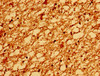 Immunohistochemistry of paraffin-embedded human brain tissue using CSB-PA023622LA01HU at dilution of 1:100