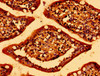 Immunohistochemistry of paraffin-embedded human small intestine tissue using CSB-PA622521LA01HU at dilution of 1:100
