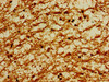 Immunohistochemistry of paraffin-embedded human brain tissue using CSB-PA018396LA01HU at dilution of 1:100