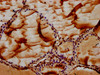 IHC image of CSB-PA896489LA01HU diluted at 1:100 and staining in paraffin-embedded human thyroid tissue performed on a Leica BondTM system. After dewaxing and hydration, antigen retrieval was mediated by high pressure in a citrate buffer (pH 6.0) . Section was blocked with 10% normal goat serum 30min at RT. Then primary antibody (1% BSA) was incubated at 4°C overnight. The primary is detected by a biotinylated secondary antibody and visualized using an HRP conjugated SP system.
