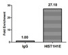 Chromatin Immunoprecipitation Hela (4*10<sup>6</sup>) were treated with Micrococcal Nuclease, sonicated, and immunoprecipitated with 5µg anti-HIST1H1E (CSB-PA010380PA16me2HU) or a control normal rabbit IgG. The resulting ChIP DNA was quantified using real-time PCR with primers against the β-Globin promoter.