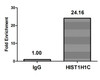 Chromatin Immunoprecipitation Hela (4*10<sup>6</sup>) were treated with Micrococcal Nuclease, sonicated, and immunoprecipitated with 5µg anti-HIST1H1C (CSB-PA010378OA96me1HU) or a control normal rabbit IgG. The resulting ChIP DNA was quantified using real-time PCR with primers against the β-Globin promoter.