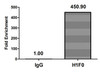 Chromatin Immunoprecipitation Hela (4*10<sup>6</sup>) were treated with Micrococcal Nuclease, sonicated, and immunoprecipitated with 5µg anti-H1F0 (CSB-PA010087OA81nme1HU) or a control normal rabbit IgG. The resulting ChIP DNA was quantified using real-time PCR with primers against the β-Globin promoter.