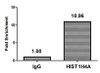 Chromatin Immunoprecipitation Hela (4*10<sup>6</sup>, treated with 30mM sodium butyrate for 4h) were treated with Micrococcal Nuclease, sonicated, and immunoprecipitated with 8µg anti-HIST1H4A (CSB-PA010429PA16acHU) or a control normal rabbit IgG. The resulting ChIP DNA was quantified using real-time PCR with primers against the β-Globin promoter.