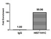 Chromatin Immunoprecipitation Hela (4*10<sup>6</sup>) were treated with Micrococcal Nuclease, sonicated, and immunoprecipitated with 5µg anti-HIST1H1C (CSB-PA010378OA45nme1HU) or a control normal rabbit IgG. The resulting ChIP DNA was quantified using real-time PCR with primers against the β-Globin promoter.
