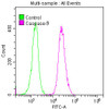 Overlay histogram showing K562 cells stained with CSB-RA004555A0HU (red line) at 1:50. The cells were fixed with 70% Ethylalcohol (18h) and then permeabilized with 0.3% Triton X-100 for 2 min. The cells were then incubated in 1x PBS /10% normal goat serum to block non-specific protein-protein interactions followed by primary antibody for 1 h at 4°C. The secondary antibody used was FITC goat anti-rabbit IgG (H+L) at 1/200 dilution for 1 h at 4°C. Control antibody (green line) was used under the same conditions. Acquisition of >10,000 events was performed.