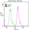 Overlay histogram showing Hela cells stained with CSB-RA002272A0HU (red line) at 1:50. The cells were fixed with 70% Ethylalcohol (18h) and then permeabilized with 0.3% Triton X-100 for 2 min. The cells were then incubated in 1x PBS /10% normal goat serum to block non-specific protein-protein interactions followed by primary antibody for 1 h at 4°C. The secondary antibody used was FITC goat anti-rabbit IgG (H+L) at 1/200 dilution for 1 h at 4°C. Control antibody (green line) was used under the same conditions. Acquisition of >10,000 events was performed.