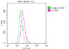 Overlay histogram showing Raji cells stained with CSB-RA162789A0HU (red line) at 1：50. The cells were incubated in 10% normal goat serum to block non-specific protein-protein interactions followedby the antibody (1µg/1*106cells) for 1 h at 4℃.The secondary antibody used was FITC-conjugated goat anti-rabbit IgG (H+L) at 1/200 dilution for 30min at 4℃. Control antibody (green line) was Rabbit IgG (1µg/1*106cells) used under the same conditions. Acquisition of >10,000 events was performed.