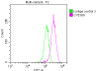 Overlay histogram showing HepG2 cells stained with CSB-RA262034A0HU (red line) at 1：50. The cells were incubated in 10% normal goat serum to block non-specific protein-protein interactions followedby the antibody (1µg/1*106cells) for 1 h at 4℃.The secondary antibody used was FITC-conjugated goat anti-rabbit IgG (H+L) at 1/200 dilution for 30min at 4℃. Control antibody (green line) was Rabbit IgG (1µg/1*106cells) used under the same conditions. Acquisition of >10,000 events was performed.