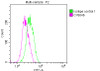 Overlay histogram showing Jurkat cells stained with CSB-RA200985A0HU (red line) at 1：50. The cells were fixed with 70% Ethylalcohol (18h) and then incubated in 10% normal goat serum to block non-specific protein-protein interactions followedby the antibody (1µg/1*106cells) for 1 h at 4℃.The secondary antibody used was FITC-conjugated goat anti-rabbit IgG (H+L) at 1/200 dilution for 30min at 4℃. Control antibody (green line) was Rabbit IgG (1µg/1*106cells) used under the same conditions. Acquisition of >10,000 events was performed.