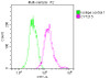 Overlay histogram showing Jurkat cells stained with CSB-RA568053A0HU (red line) at 1：50. The cells were fixed with 70% Ethylalcohol (18h) and then incubated in 10% normal goat serum to block non-specific protein-protein interactions followedby the antibody (1µg/1*106cells) for 1 h at 4℃.The secondary antibody used was FITC-conjugated goat anti-rabbit IgG (H+L) at 1/200 dilution for 30min at 4℃. Control antibody (green line) was Rabbit IgG (1µg/1*106cells) used under the same conditions. Acquisition of >10,000 events was performed.