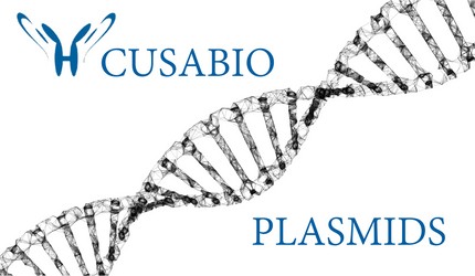 Cusabio Distribution