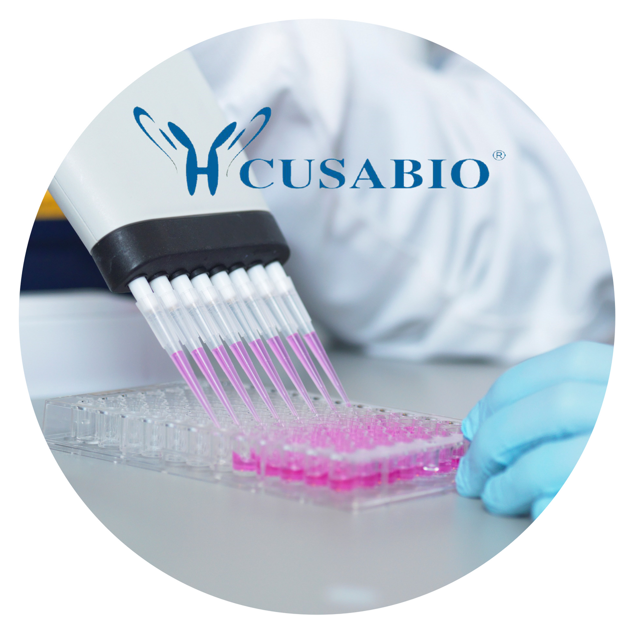 ELISA Kits ELISA Kits